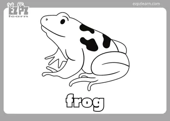 Frog Coloring Page